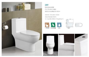 Dual Flush Toilet w/ Vacumm Flush