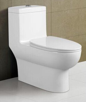 Dual Flush Toilet w/ Vacumm Flush
